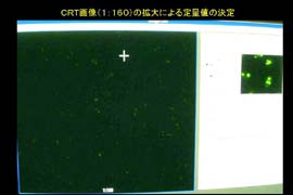 スライド15