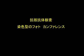 スライド19
