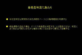 スライド20