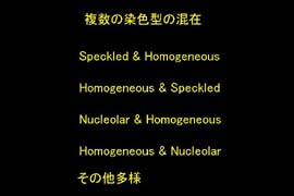 スライド8
