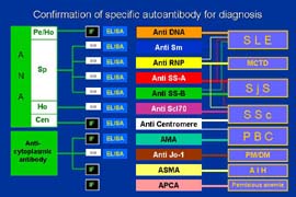 slide17