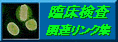 �Տ������֘A�����N�W
